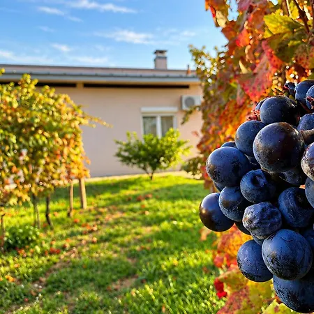 Mareza Villa